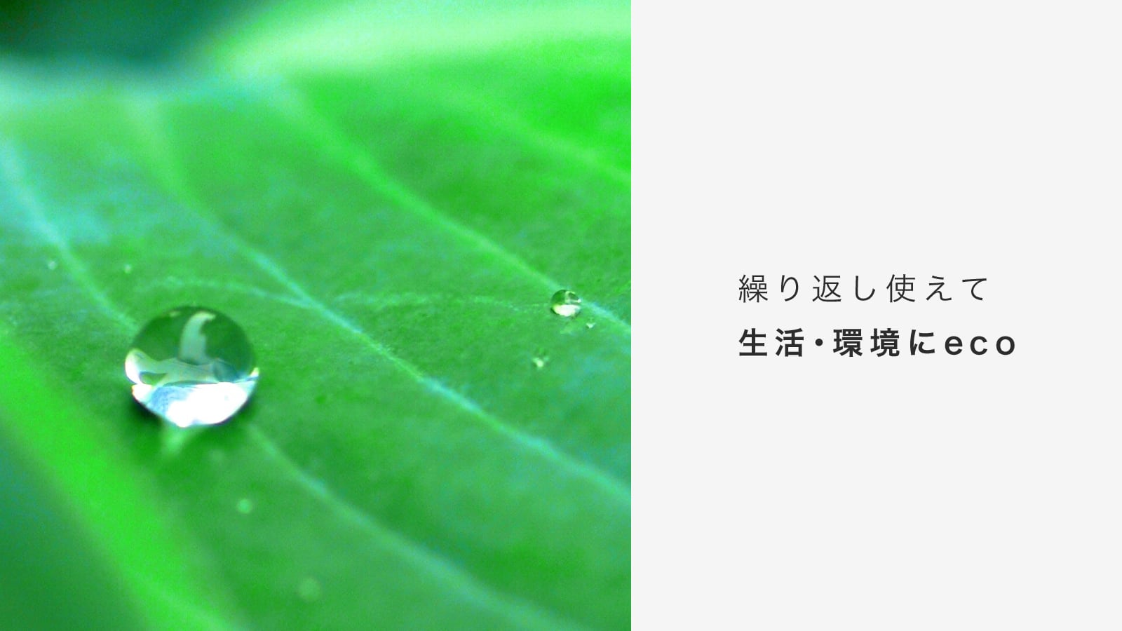 はれパン 男性用 吸水スウェットパンツ